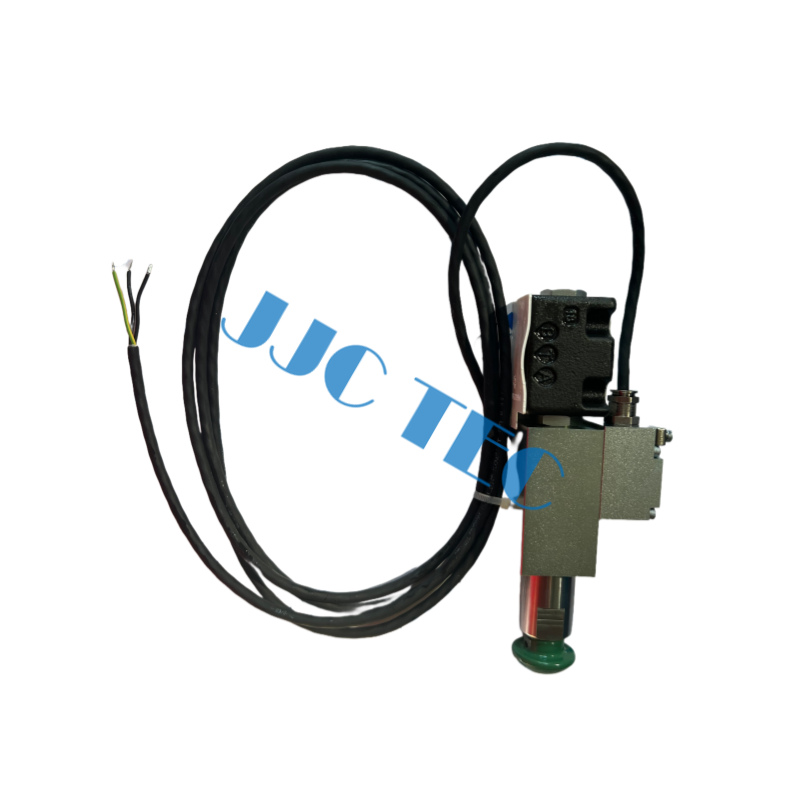 Valve NG6 EX ، OEM المرجع رقم: 164072 ، يستخدم لخشونة الحديد